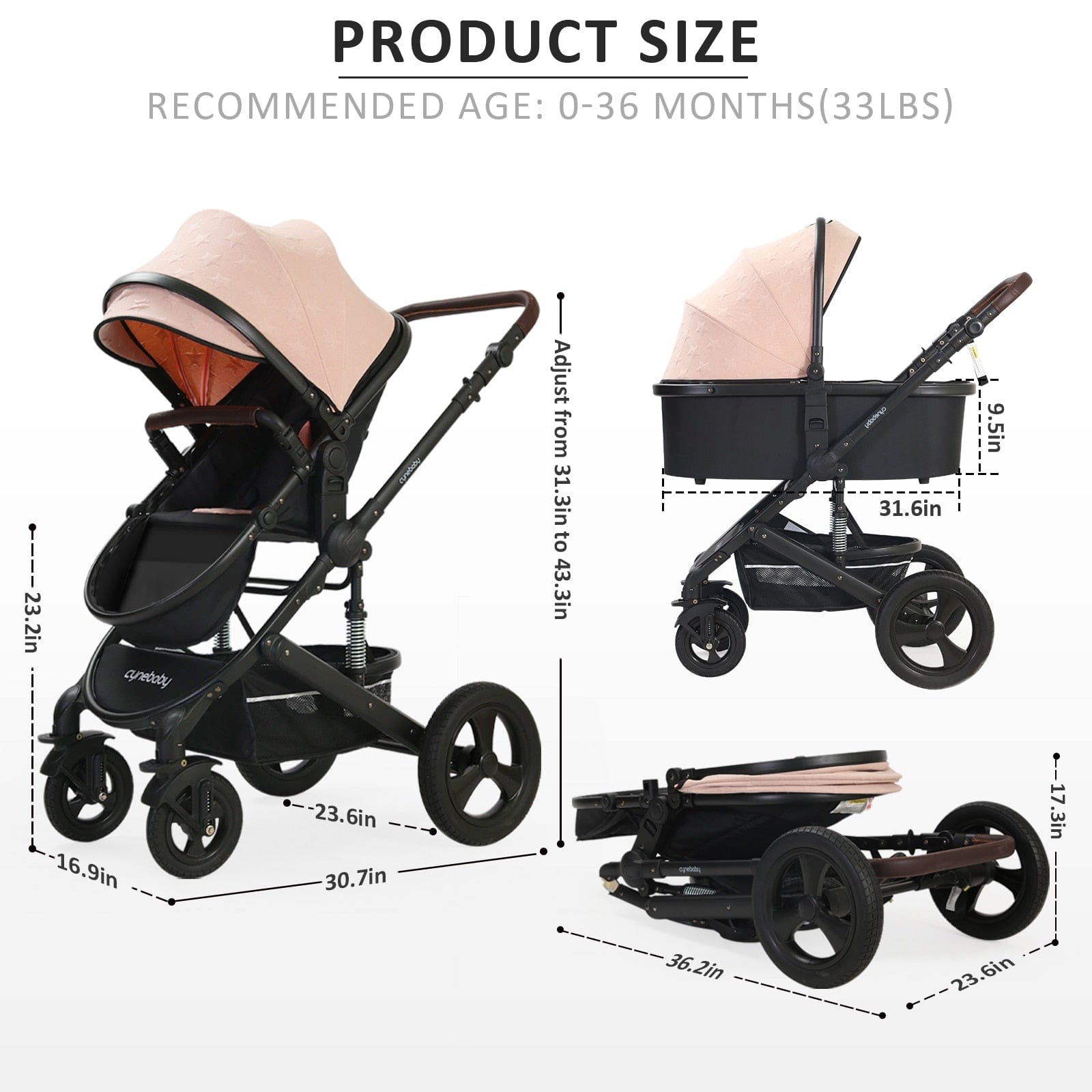 Proactive Baby Cynebaby 2 in 1 Convertible Cradle Stroller