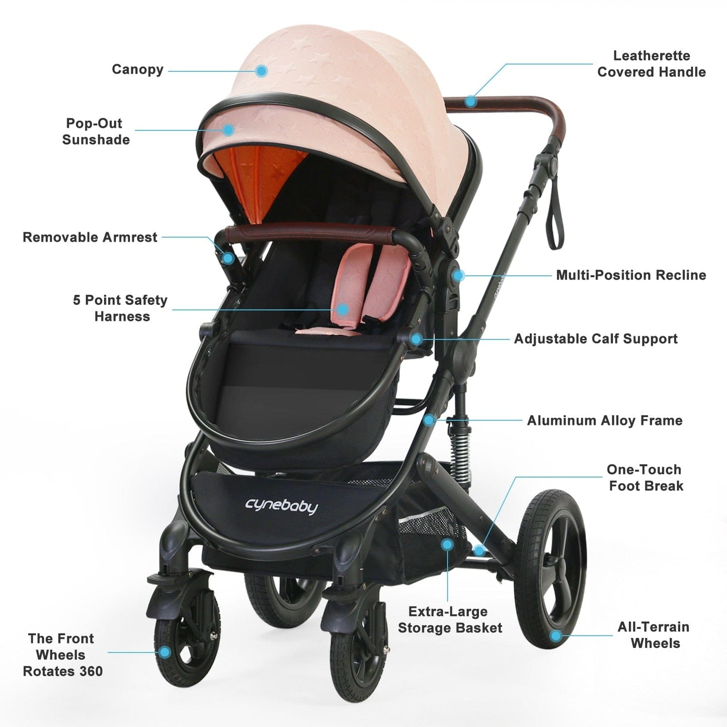 Proactive Baby Cynebaby 2 in 1 Convertible Cradle Stroller